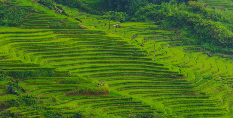 Kho gạo của Nguyễn Thành